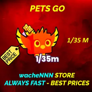 PHOENIX PETS GO