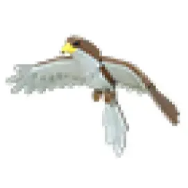 no potion hawk