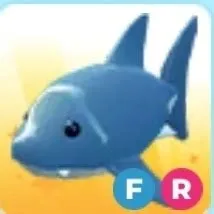FR Shark