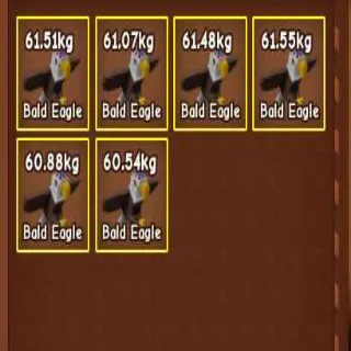 (BUNDLE)6x HUGE BALD EAGLE