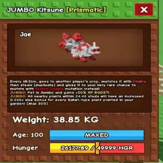 SEMI HUGE JUMBO KITSUNE (38.85KG MAX)