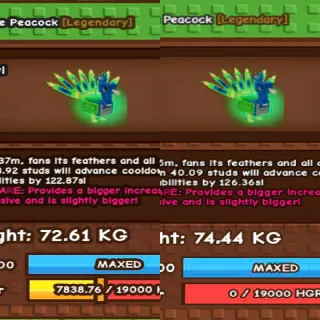 (BUNDLE) SEMI TITANIC NIGHTMARE PEACOCK(72/74KG MAX AGE 100)