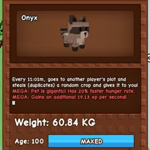 60kg raccoon gag