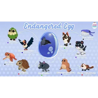 Adopt me egg endangered 18x