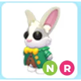 NR Mr whiskerpips | Adopt me | ADM