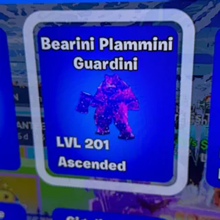 Bearini Plammini Guardin