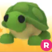 R Turtle