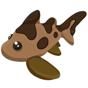 Nfr leopard shark