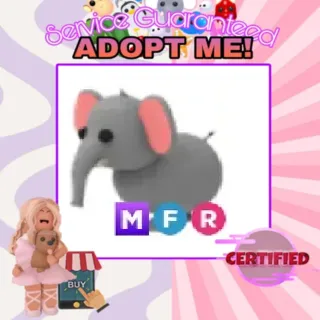 MFR Elephant