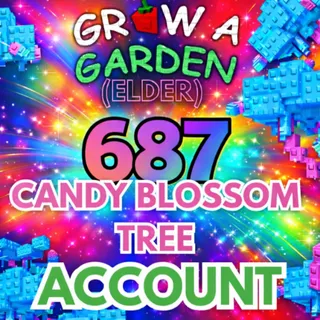 687x Candy Blossom Tree Account (ELDER CANDY BLOSSOM)