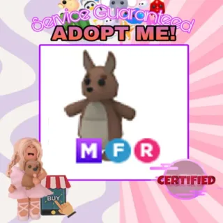 MFR Kangaroo