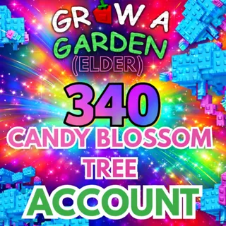 340x Candy Blossom Tree Account (ELDER CANDY BLOSSOM)