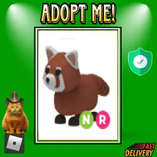 NR RED PANDA