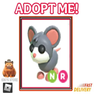 NR mouse