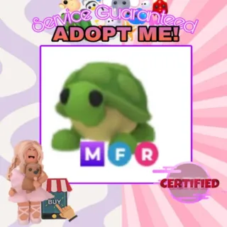 MFR Turtle