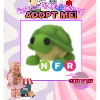 Nfr turtle