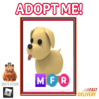 MFR Dog