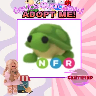 Nfr turtle