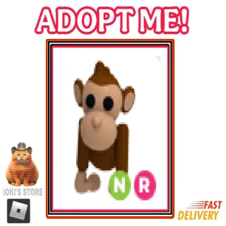 NR Monkey