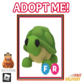 fr turtle