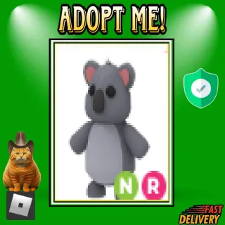 nr koala