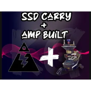10x SSD Carry + Amp Build