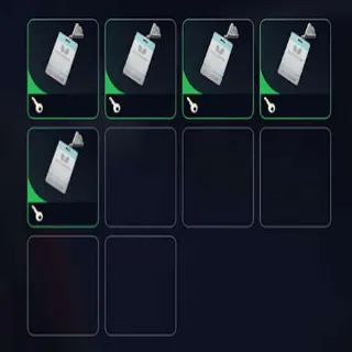 Stella Montis Medical Storage Key (×5)