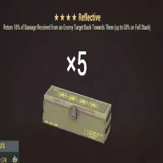 Reflective Mod (5)