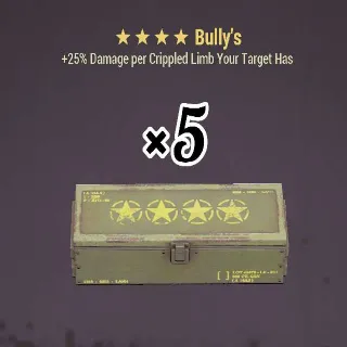 Bully's Mod (×5)