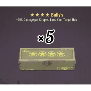 Bully's Mod (×5)