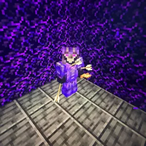 Donut Smp Full netherite