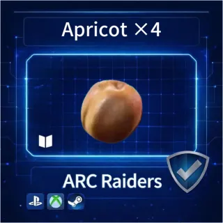 ARC Raiders|Apricot X4