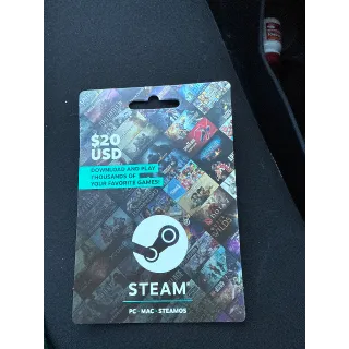 $20.00 USD Steam