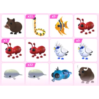 Pet Bundle