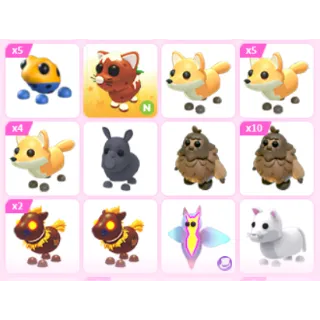 Pet Bundle