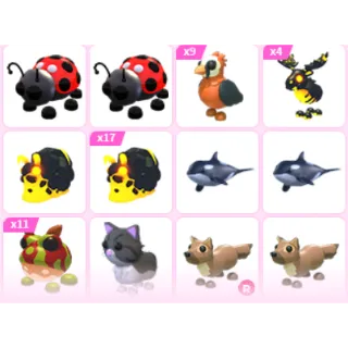 Pet Bundle