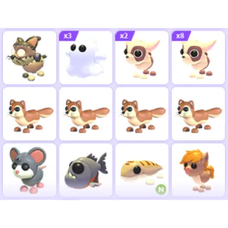 Pet Bundle