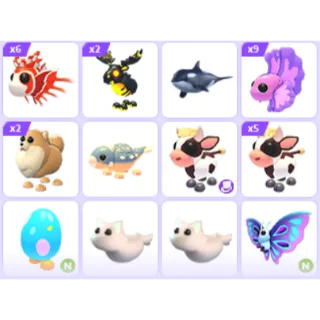 Pet Bundle