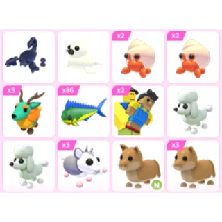 Pet Bundle