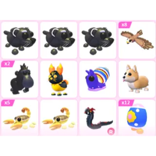 Pet Bundle