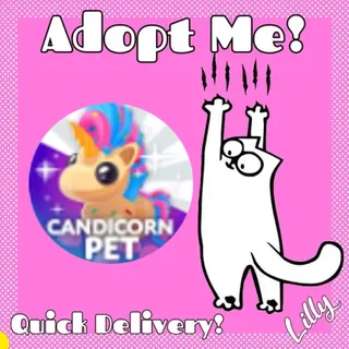 4x Candicorn
