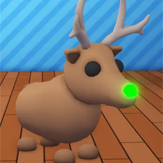 NFR Reindeer