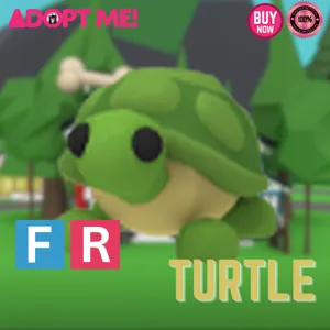 FR TURTLE - FLY RIDE TUR