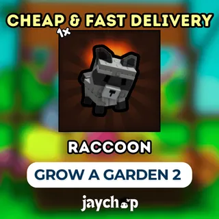 1x RACCOON