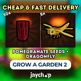 POMEGRANATE SEEDS + DRAGONFLY