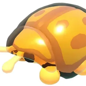 Golden Tortoise Beetle