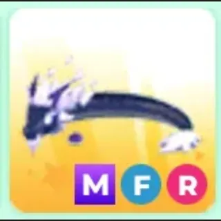 MFR Midnight Dragon