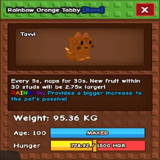 RAINBOW TITANIC ORANGE TABBY 95.36KG