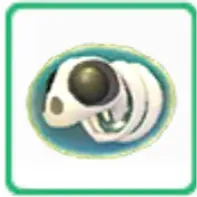 Sea skeleton