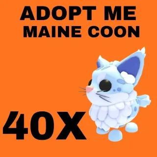 MAINE COON 40X - ADOPT ME 